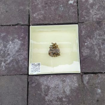Gedenksteen Gevallen Dolleke Dollekesgat Oisterwijk